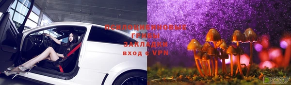хмурый Алзамай