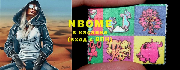 хмурый Алзамай
