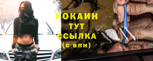 хмурый Алзамай