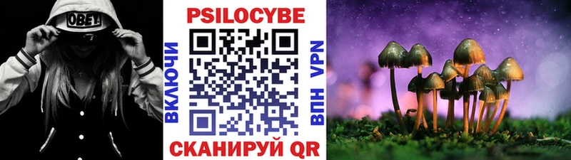 omg сайт  наркошоп  Сортавала  Галлюциногенные грибы Psilocybine cubensis 